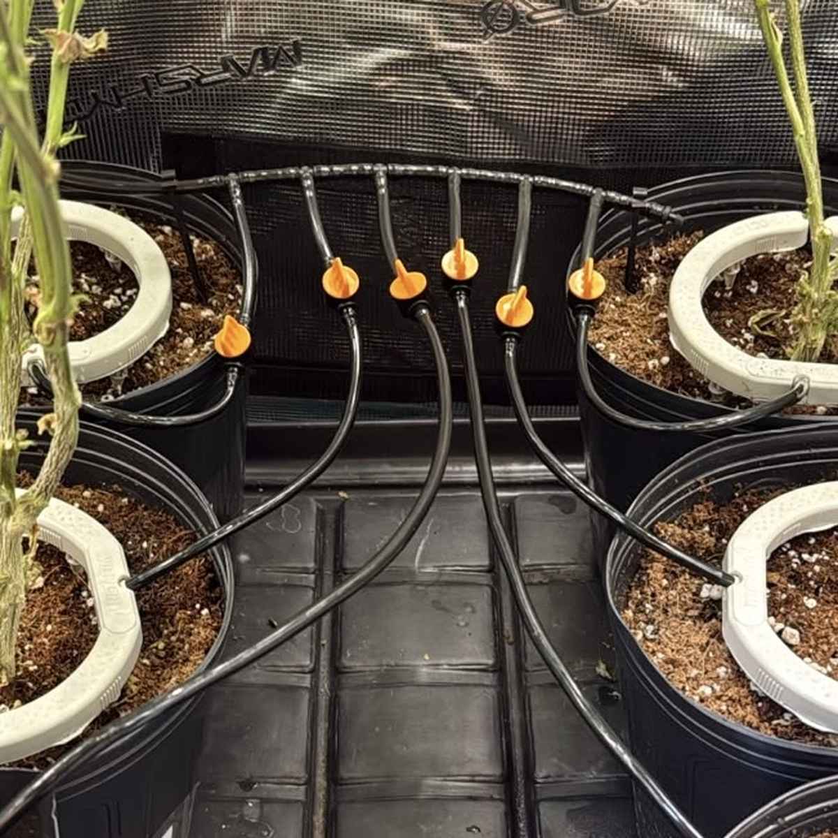 Válvula Para Microtubo Conector 4/7mm Irrigação