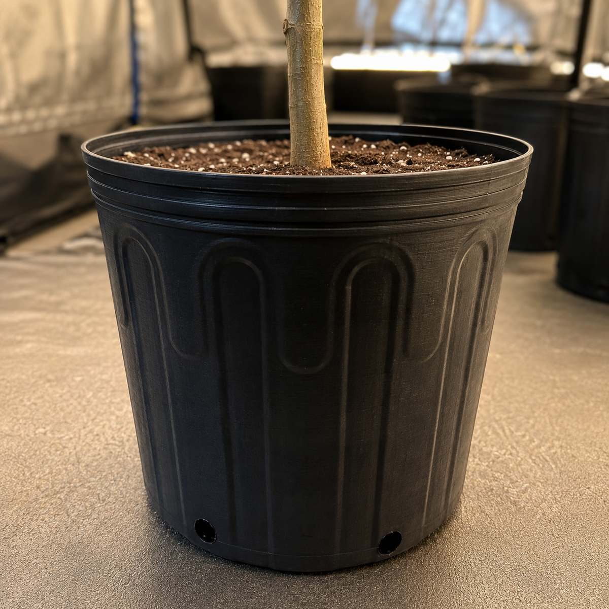 Vaso Flexível 8L Nutriplan